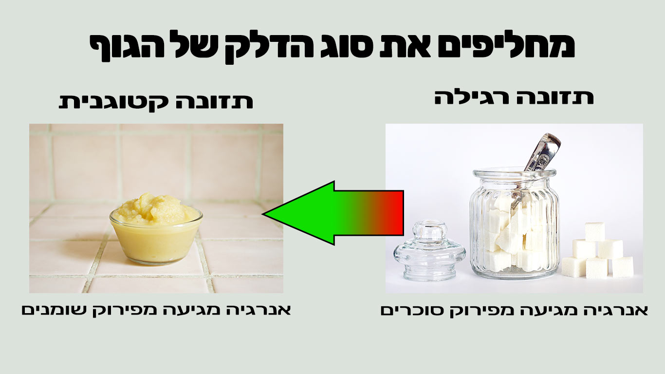 תזונה קטוגנית מחליפים את הדלק של הגוף